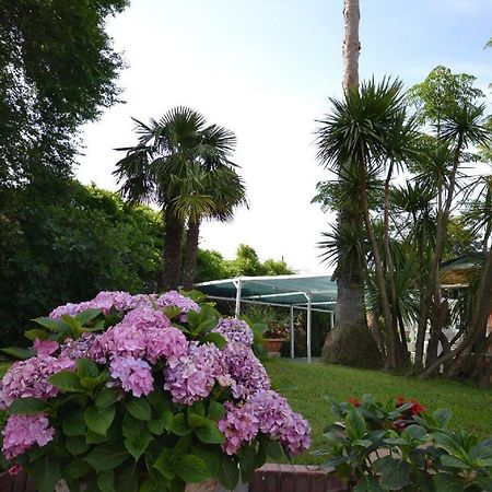 Il Piccolo Nido Bed & Breakfast Borgo Montenero ภายนอก รูปภาพ