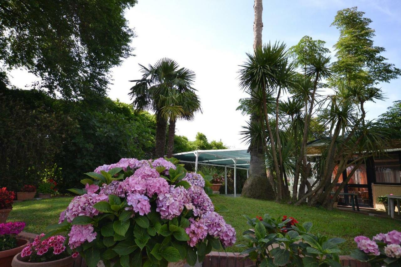 Il Piccolo Nido Bed & Breakfast Borgo Montenero ภายนอก รูปภาพ