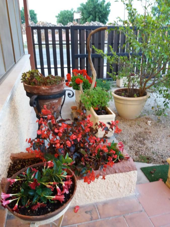 Il Piccolo Nido Bed & Breakfast Borgo Montenero ภายนอก รูปภาพ